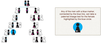 Paternal Lineage Test Tree Paternal Lineage Test Tree